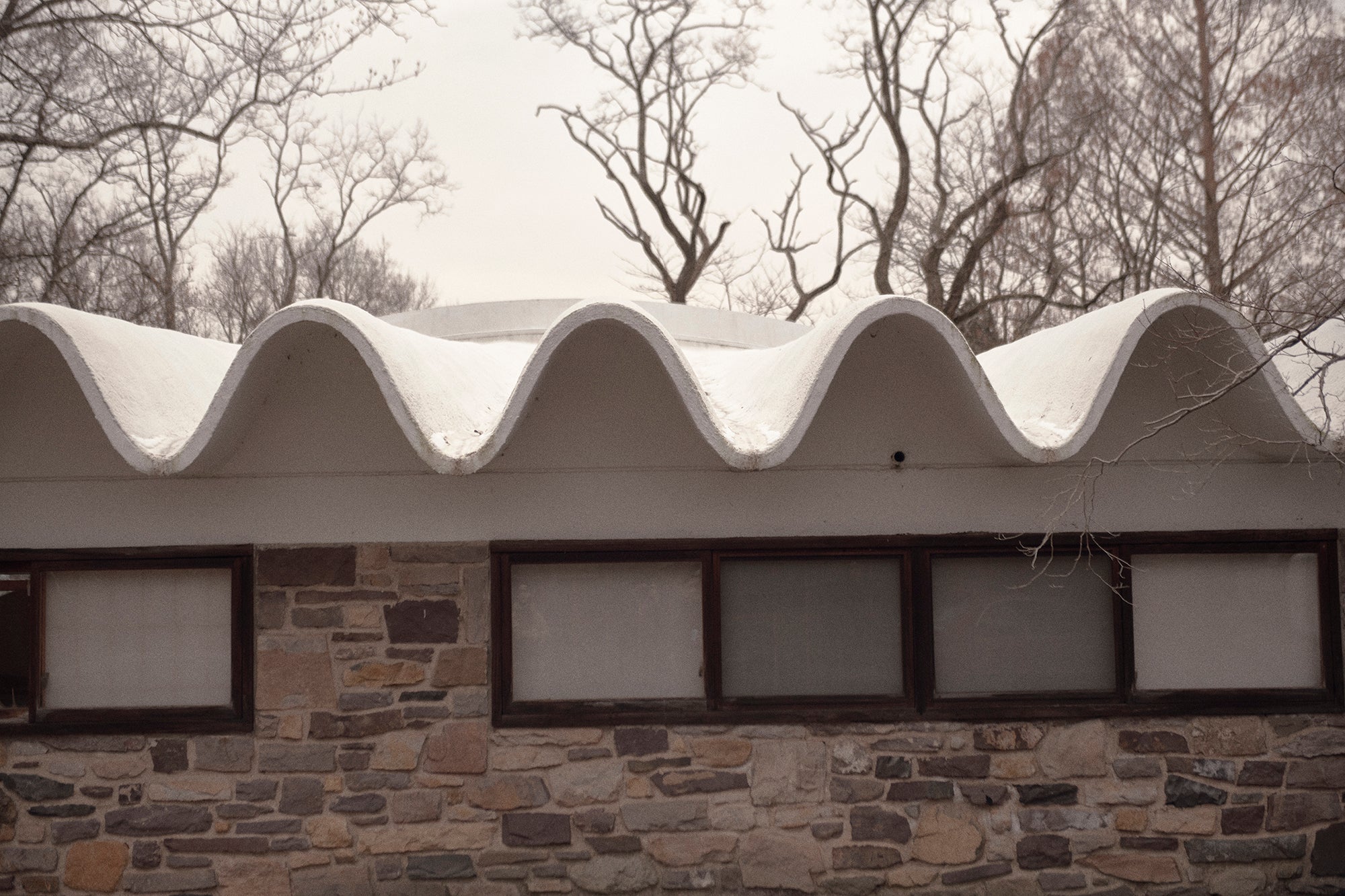 Lauren Manoogian - AW19 / 30