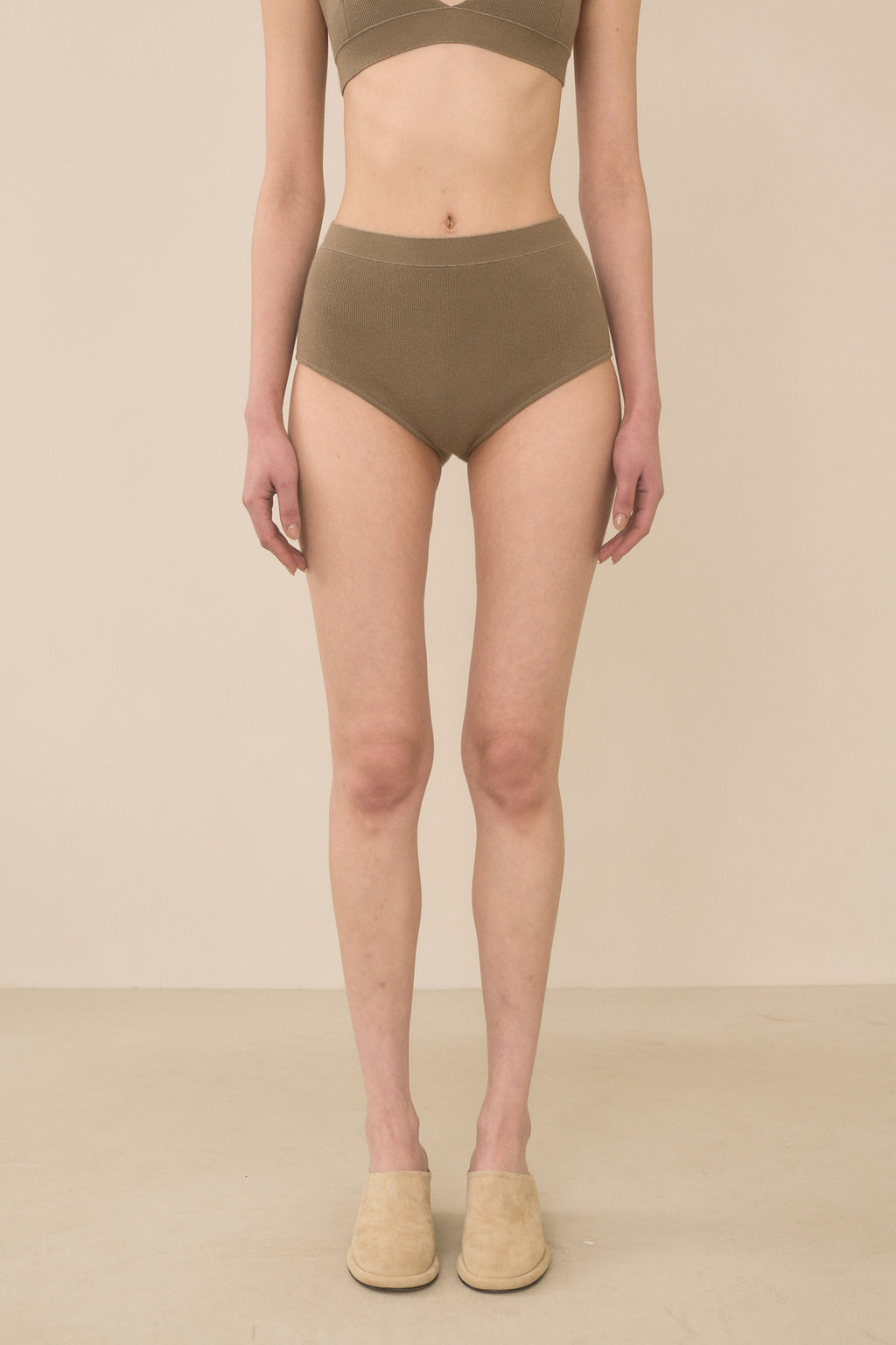 RIB BRIEF