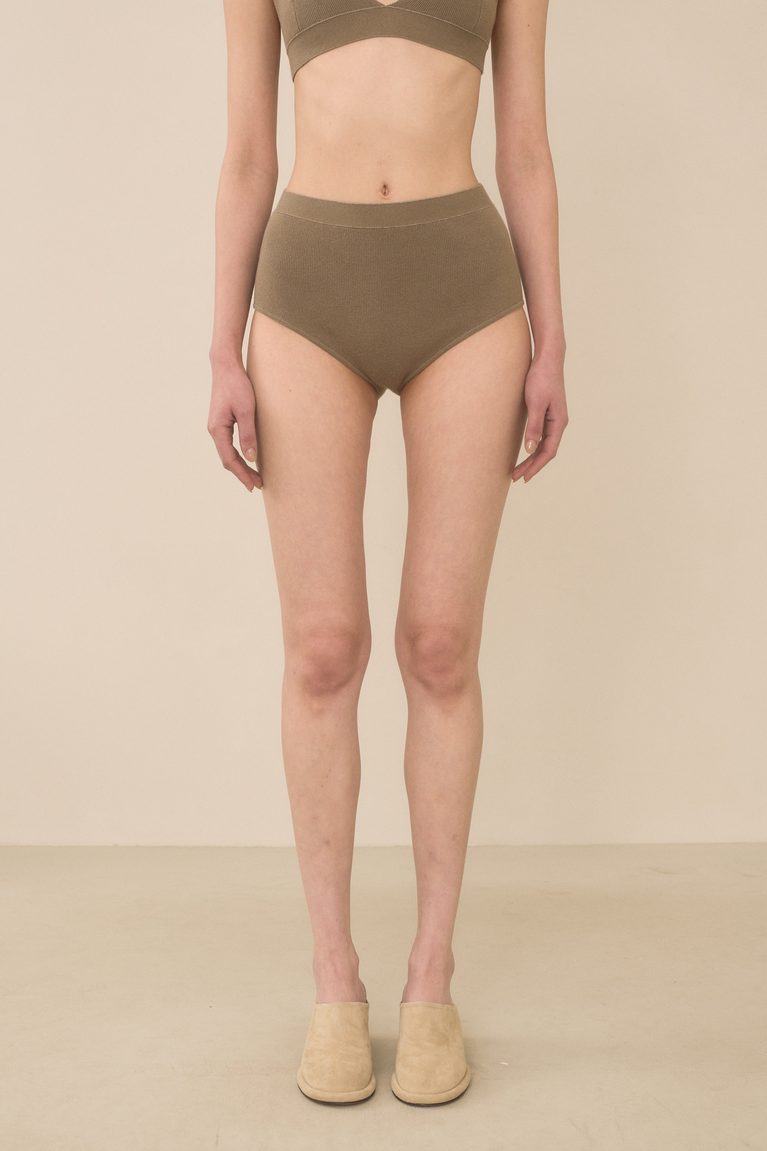 RIB BRIEF