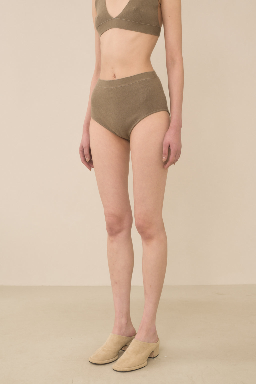 RIB BRIEF