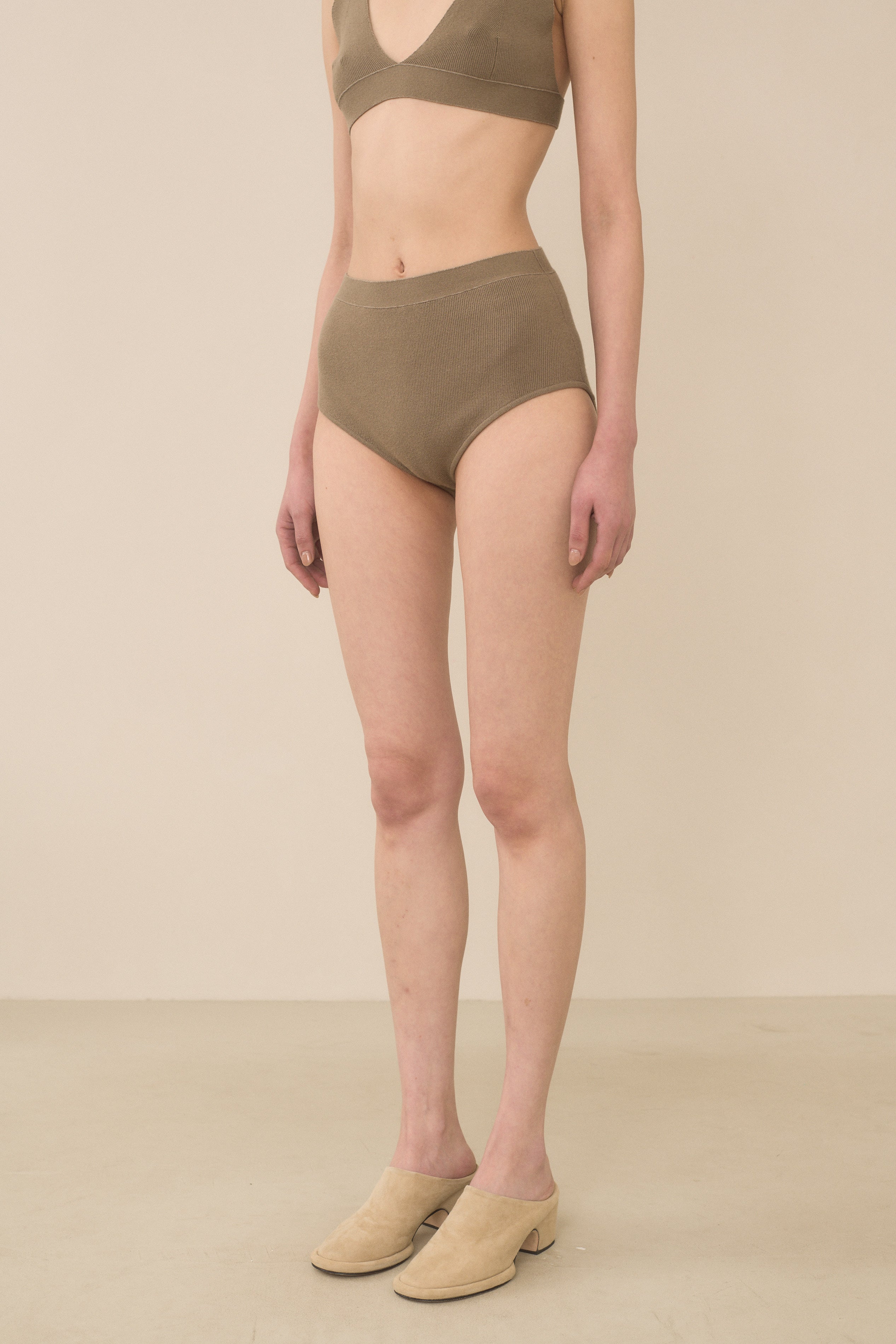 RIB BRIEF