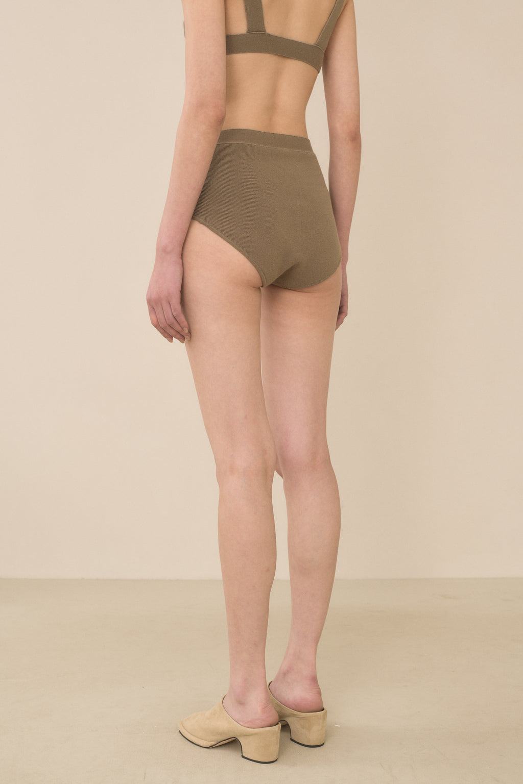 RIB BRIEF