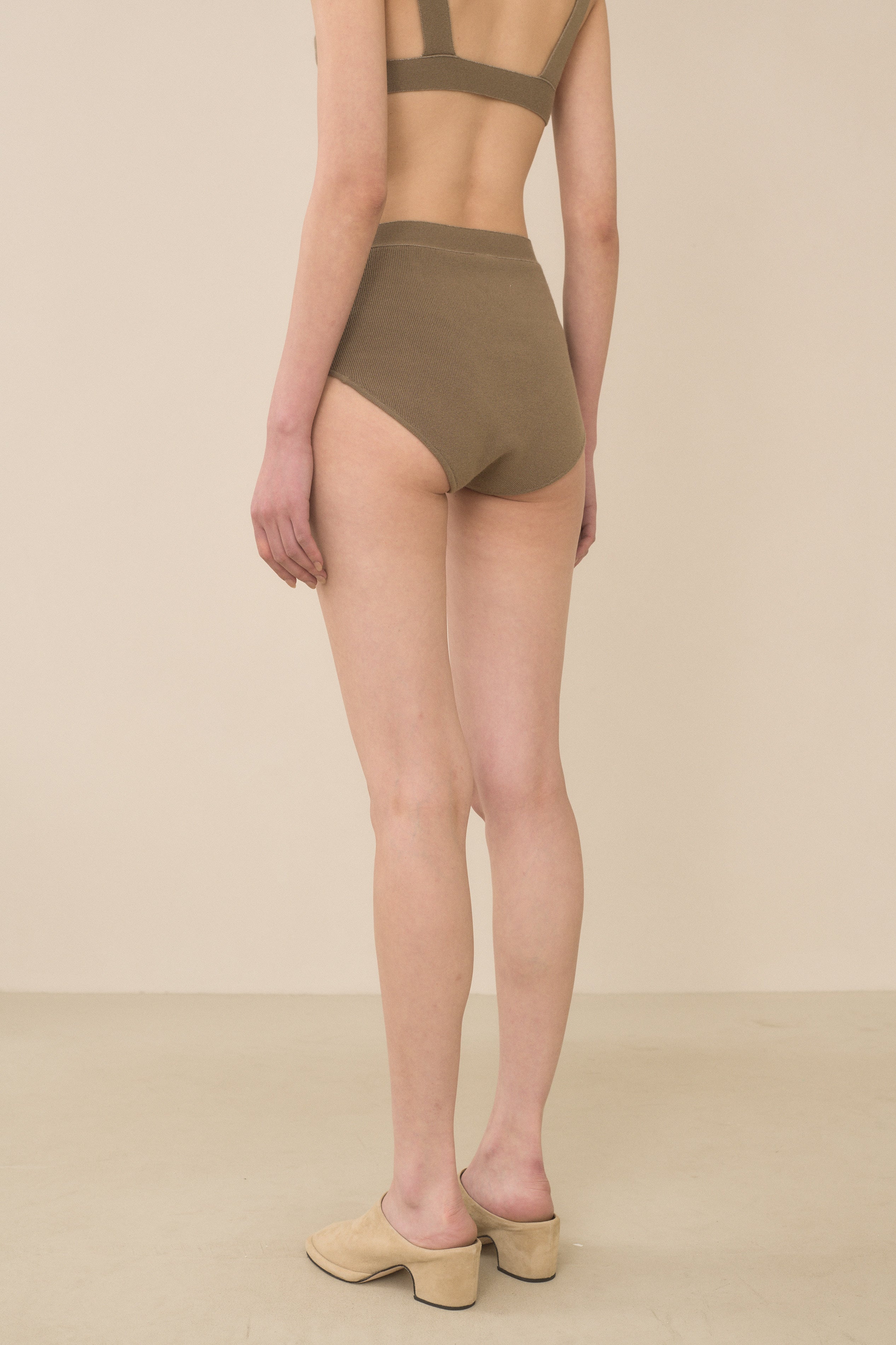 RIB BRIEF